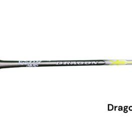 dragon 1