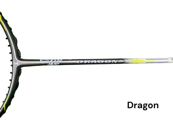 dragon 1