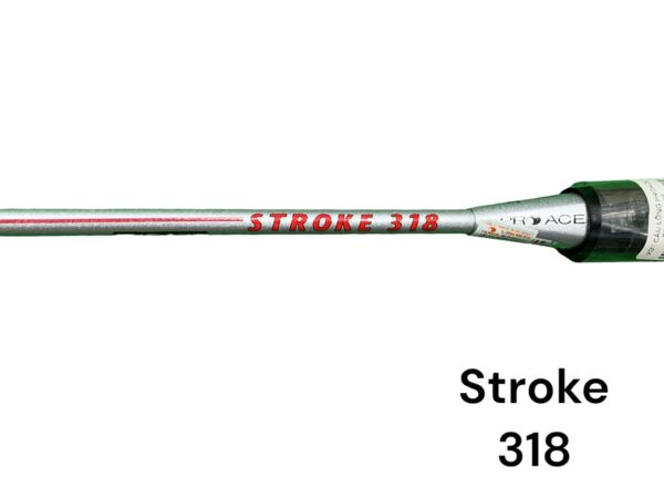 stroke 318