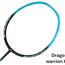 Vợt cầu lông IXE Dragon Warrior 660 | Vẻ đẹp thời thượng 3 Vot cau long IXE Dragon Warrior 660 1