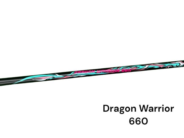 Vot cau long IXE Dragon Warrior 660 2